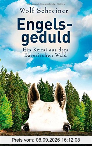 Engelsgeduld: Ein Fall für Pfarrer Senner 5 - Ein Krimi aus dem Bayerischen Wald - (Pfarrer Baltasar Senner, Band 5)