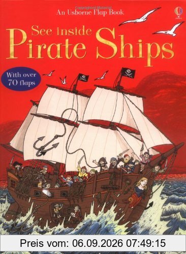 Pirate Ships (Usborne Flap Books)