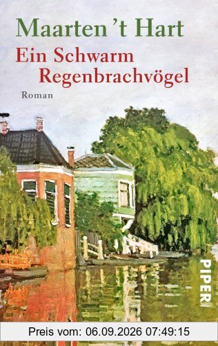 Ein Schwarm Regenbrachvögel: Roman