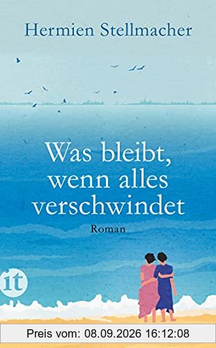 Was bleibt, wenn alles verschwindet: Roman (insel taschenbuch)