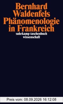 Phänomenologie in Frankreich (suhrkamp taschenbuch wissenschaft)
