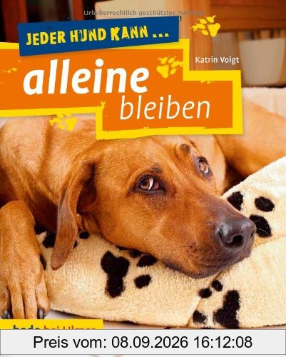 Jeder Hund kann alleine bleiben: Keine Angst vor dem Alleinsein
