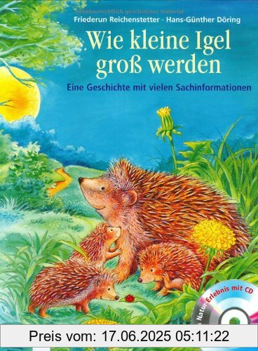 Brand : Arena Verlag, Binding : Gebundene Ausgabe, Label : Arena, Publisher : Arena, medium : Gebundene Ausgabe, numberOfPages : 32, publicationDate : 2006-06-01, authors : Friederun Reichenstetter, Hans-Günther Döring, languages : german, ISBN : 3401089692