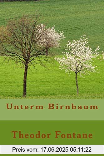 Binding : Taschenbuch, Label : CreateSpace Independent Publishing Platform, Publisher : CreateSpace Independent Publishing Platform, medium : Taschenbuch, numberOfPages : 114, publicationDate : 2016-02-05, authors : Theodor Fontane, ISBN : 1523875070