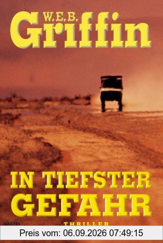 In tiefster Gefahr: Thriller