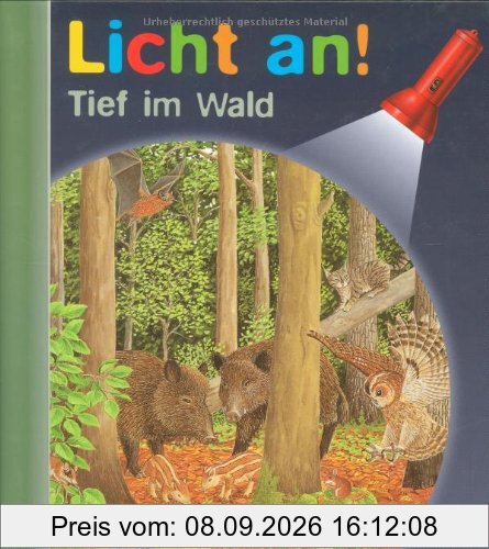 Meyer. Die kleine Kinderbibliothek - Licht an!: Licht an! Tief im Wald: Band 21