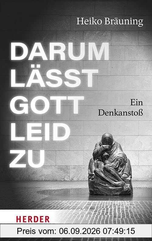 Darum lässt Gott Leid zu: Ein Denkanstoß