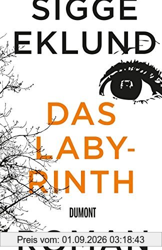 Das Labyrinth: Roman