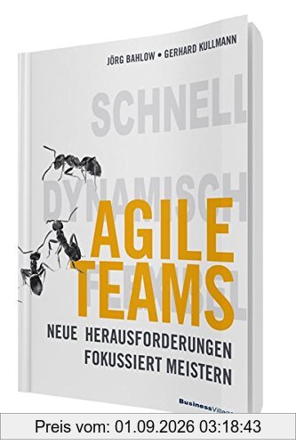 Agile Teams: Neue Herausforderungen fokussiert meistern