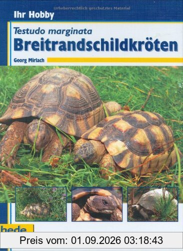 Breitrandschildkröten, Ihr Hobby