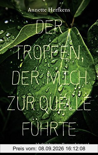 Der Tropfen, der mich zur Quelle führte: Ich überlebte einen Flugzeugabsturz und fand in meinem Inneren die Kraft zu leben (Erfahrungen)