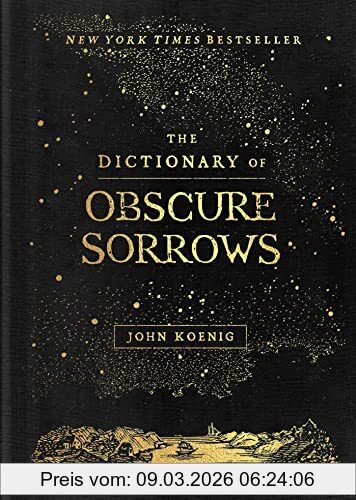 John Koenig The Dictionary Of Obscure Sorrows