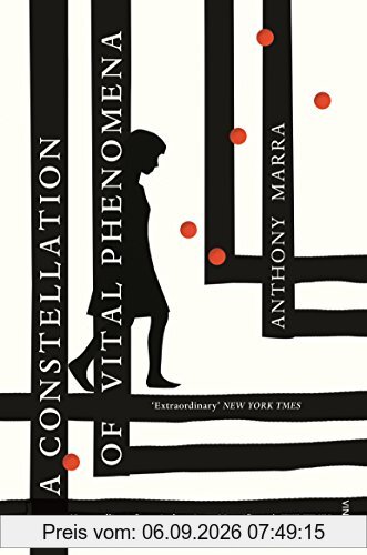 A Constellation of Vital Phenomena