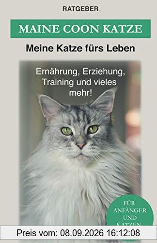 Maine Coon: Maine Coon Katze Ratgeber - Erziehung, Ernährung und Pflege (Katzenrassen)
