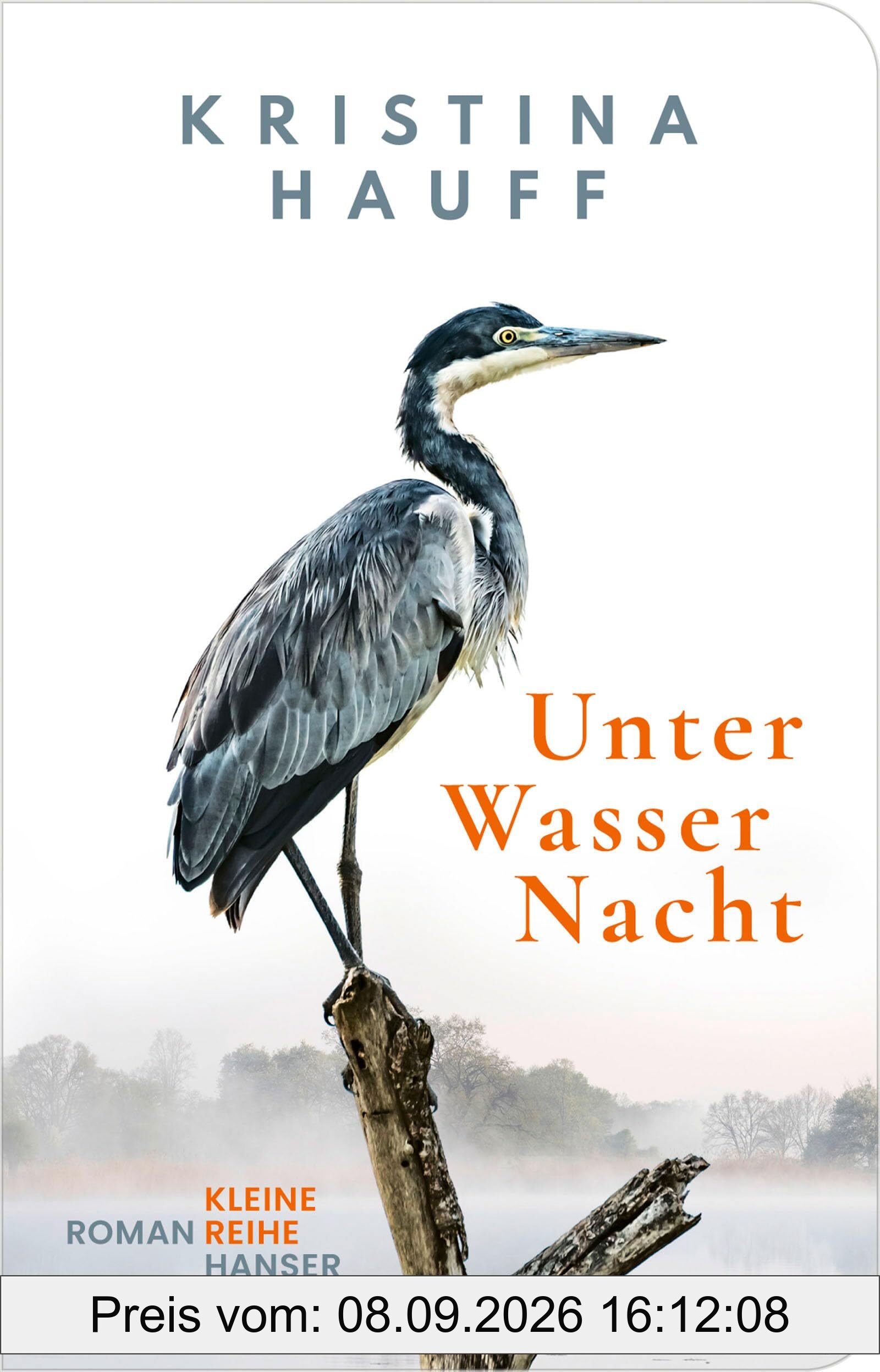Unter Wasser Nacht: Roman (Kleine Reihe Hanser)