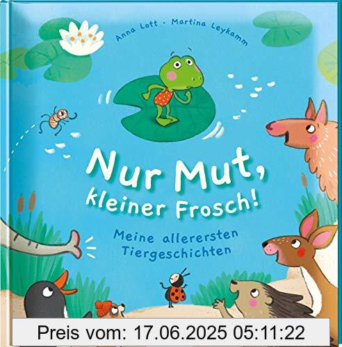 Binding : Gebundene Ausgabe, Edition : 1., Label : Esslinger Verlag, Publisher : Esslinger Verlag, medium : Gebundene Ausgabe, numberOfPages : 48, publicationDate : 2021-04-27, releaseDate : 2021-04-27, authors : Anna Lott, ISBN : 3480236340