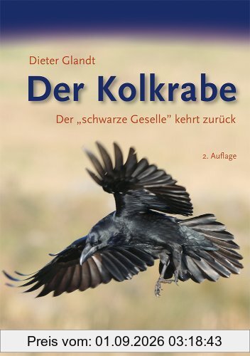Der Kolkrabe: Der schwarze Geselle kehrt zurück