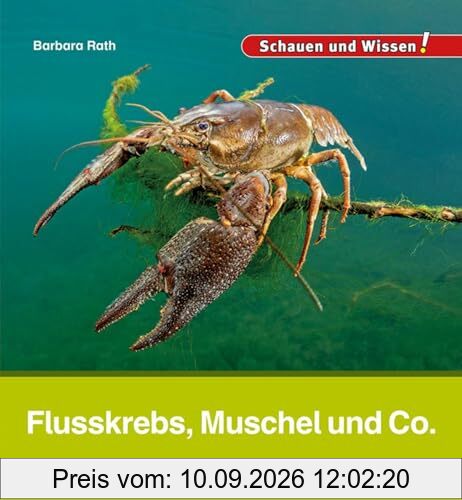 Flusskrebs, Muschel und Co.: Schauen und Wissen!