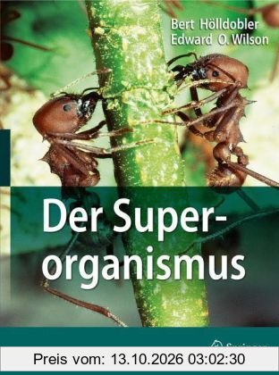 Der Superorganismus: Der Erfolg von Ameisen, Bienen, Wespen und Termiten