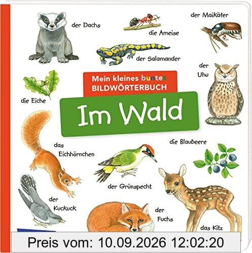 Mein kleines buntes Bildwörterbuch: Im Wald: Sprachförderung, die Neugier weckt und Spaß macht - für Kinder ab 2