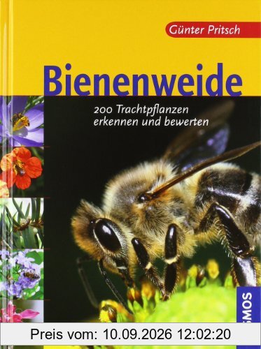 Bienenweide: 200 Trachtpflanzen erkennen und bewerten