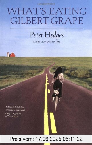 Binding : Taschenbuch, Label : Simon & Schuster, Publisher : Simon & Schuster, NumberOfItems : 1, medium : Taschenbuch, numberOfPages : 336, publicationDate : 1999-11-01, authors : Peter Hedges, languages : english, ISBN : 0671038540