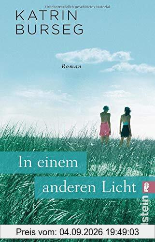 In einem anderen Licht: Roman