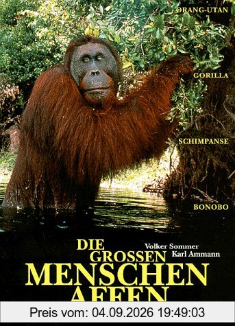 Die großen Menschenaffen