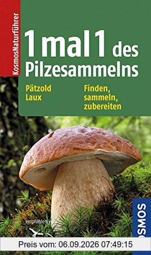 1 mal 1 des Pilzesammelns
