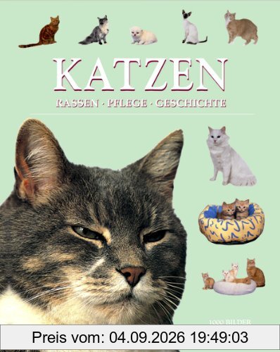 Katzen. Rassen, Pflege, Geschichte