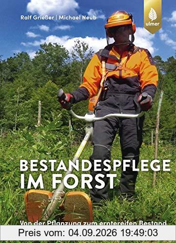 Bestandespflege im Forst: Von der Pflanzung zum erntereifen Bestand