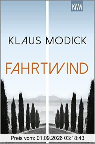 Fahrtwind: Roman