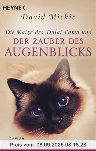 Die Katze des Dalai Lama und der Zauber des Augenblicks: Roman