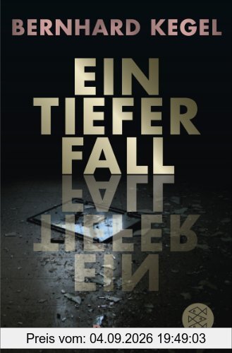 Ein tiefer Fall: Roman