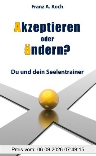Akzeptieren oder ändern: Du und dein Seelencoach