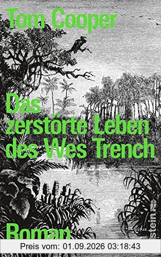 Das zerstörte Leben des Wes Trench: Roman