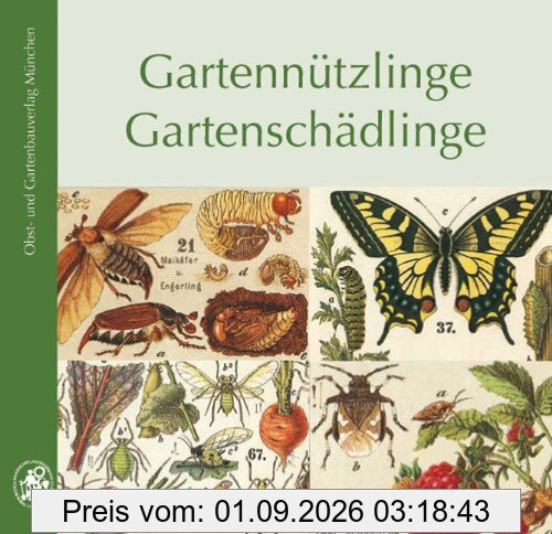 Gartennützlinge - Gartenschädlinge