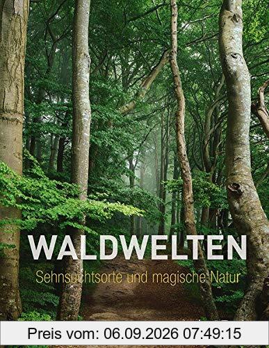 Waldwelten: Sehnsuchtsorte und magische Natur