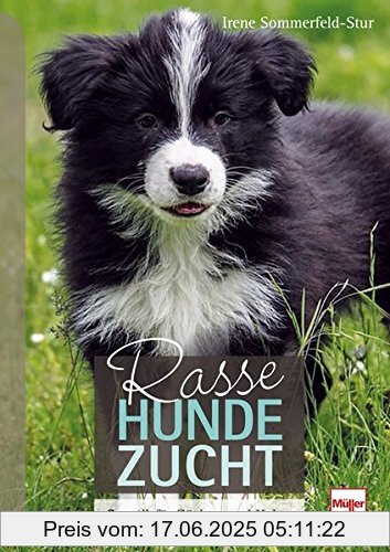 Binding : Gebundene Ausgabe, Edition : 1, Label : Müller Rüschlikon, Publisher : Müller Rüschlikon, medium : Gebundene Ausgabe, numberOfPages : 368, publicationDate : 2016-04-28, authors : Irene Sommerfeld-Stur, languages : german, ISBN : 3275020609