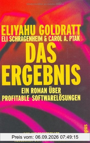 Das Ergebnis: Ein Roman über profitable Softwarelösungen