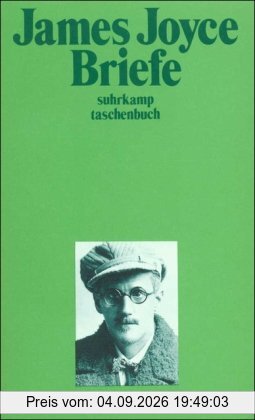 Briefe (suhrkamp taschenbuch)