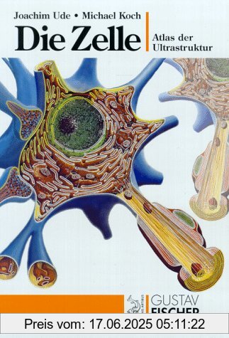 Binding : Broschiert, Edition : 2. Aufl., Label : Spektrum Akademischer Verlag, Publisher : Spektrum Akademischer Verlag, medium : Broschiert, numberOfPages : 309, publicationDate : 1999-04-01, authors : Joachim Ude, Michael Koch, languages : german, ISBN : 3334605329