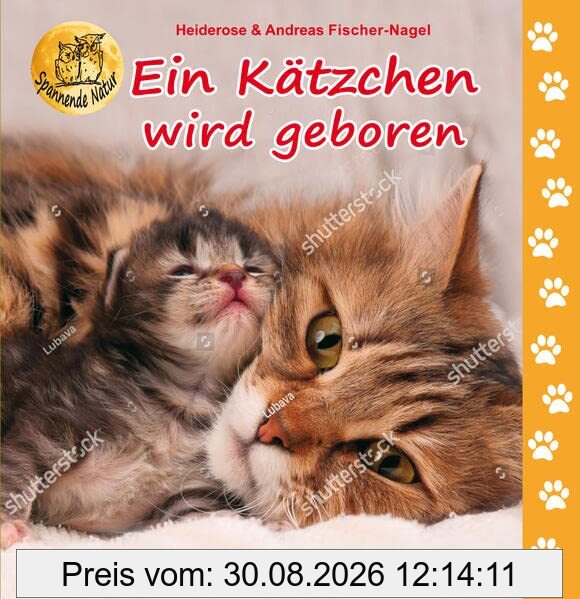 Ein Kätzchen wird geboren