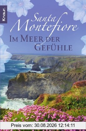 Im Meer der Gefühle: Roman