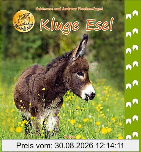Kluge Esel
