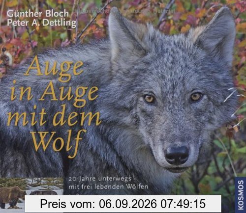 Auge in Auge mit dem Wolf: 20 Jahre unterwegs mit frei lebenden Wölfen