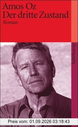 Der dritte Zustand: Roman (suhrkamp taschenbuch)