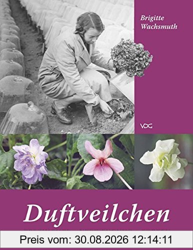 Duftveilchen: Geschichte - Verwendung - Sorten