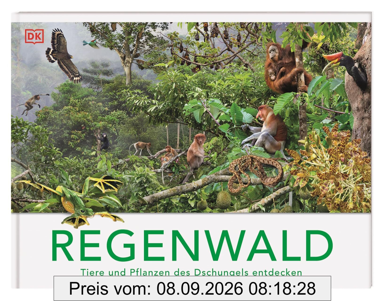 Regenwald: Tiere und Pflanzen des Dschungels entdecken. Die Vielfalt des Lebens im Regenwald. Mit 13 3-D-Panoramabildern. Für Kinder ab 8 Jahren (Panorama-Bücher)