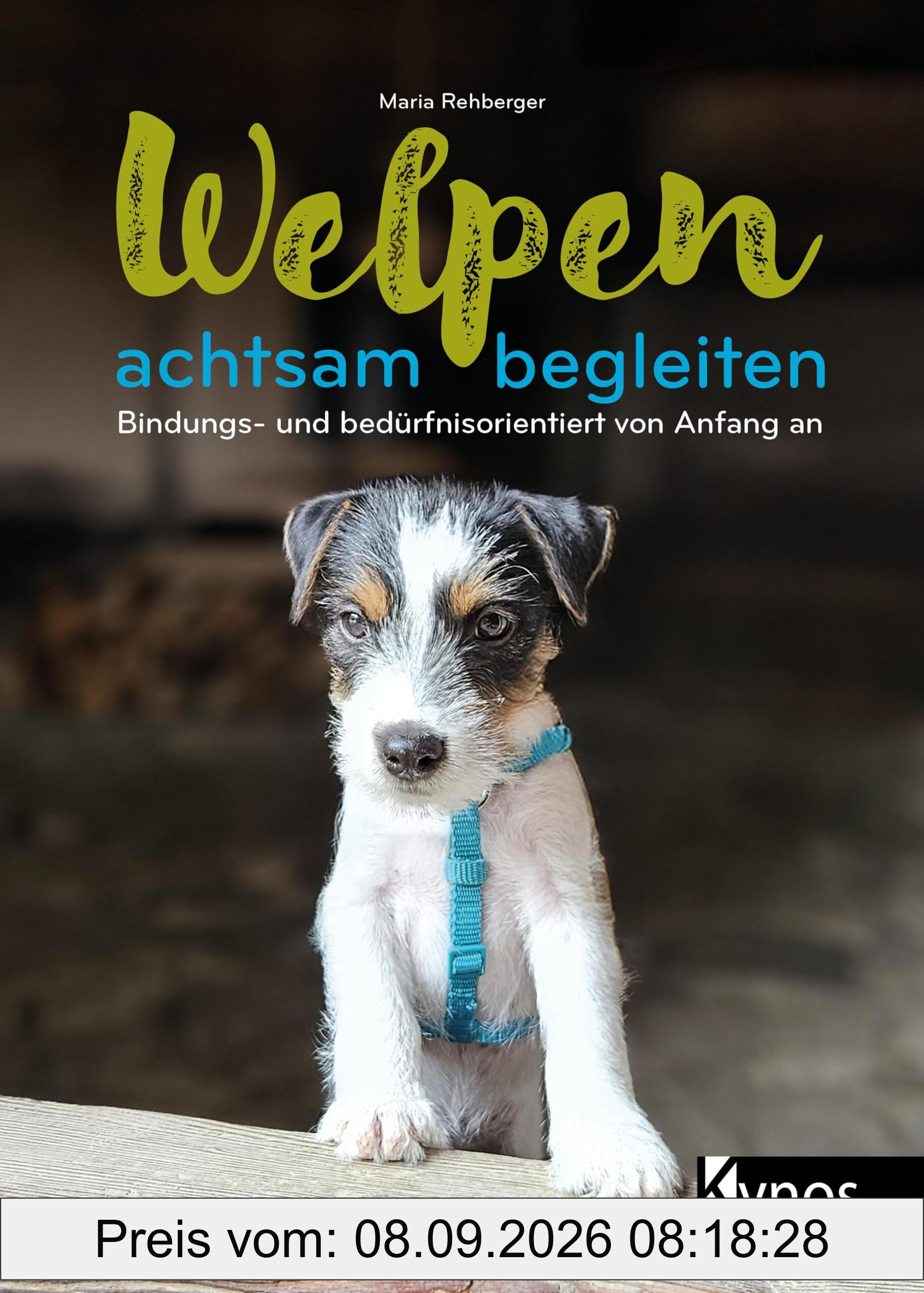 Welpen achtsam begleiten: Bindungs- und bedürfnisorientiert von Anfang an